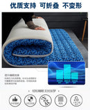 Thicken 10 cm mattress Single double size